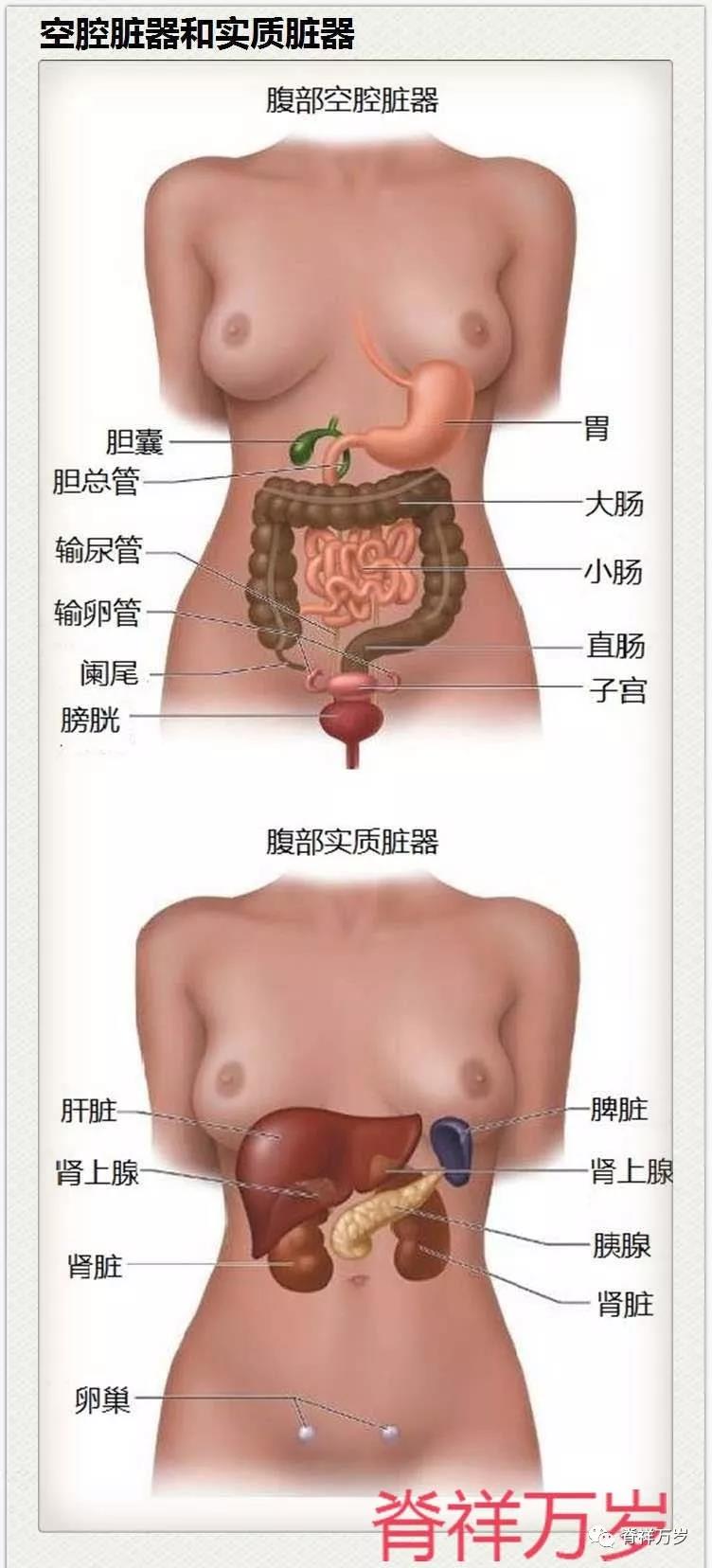 微信图片_20190107170104