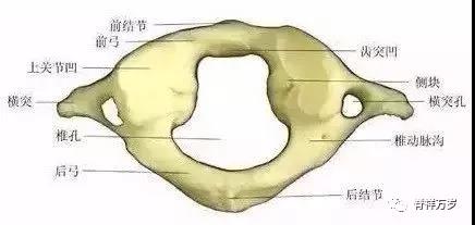 微信图片_20190320085612