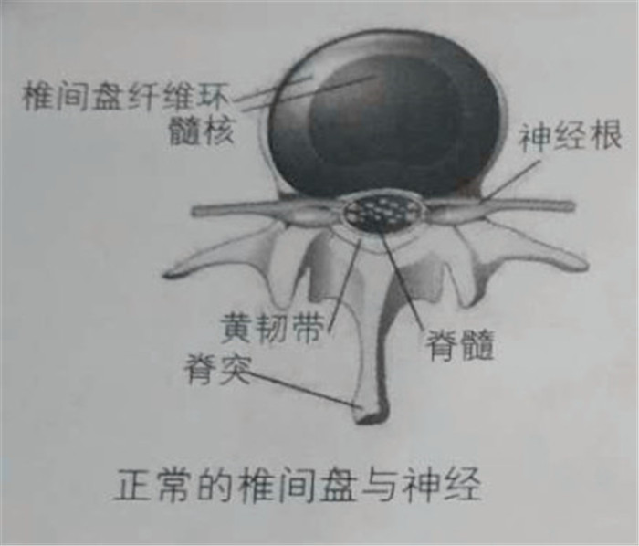 微信图片_20200728203812