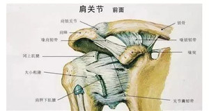 微信图片_20200728210307