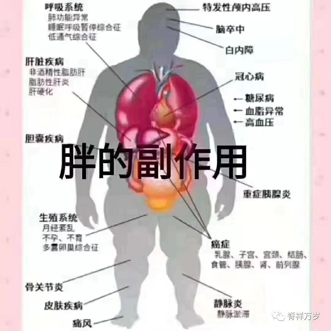 【天使科普】孩子胖点没关系？你可能不知道肥胖会导致孩子长不高|身高|体重|骨龄_新浪新闻